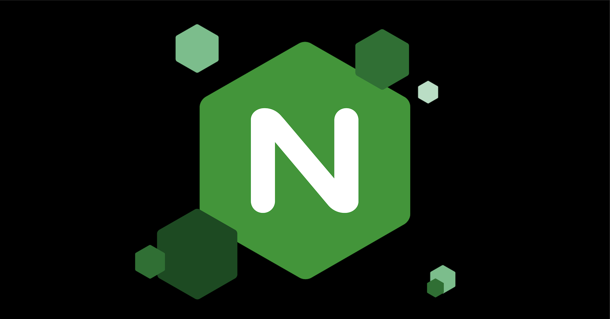nginx webserver